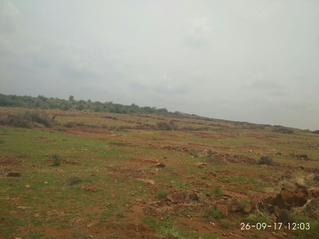 Industrial Development